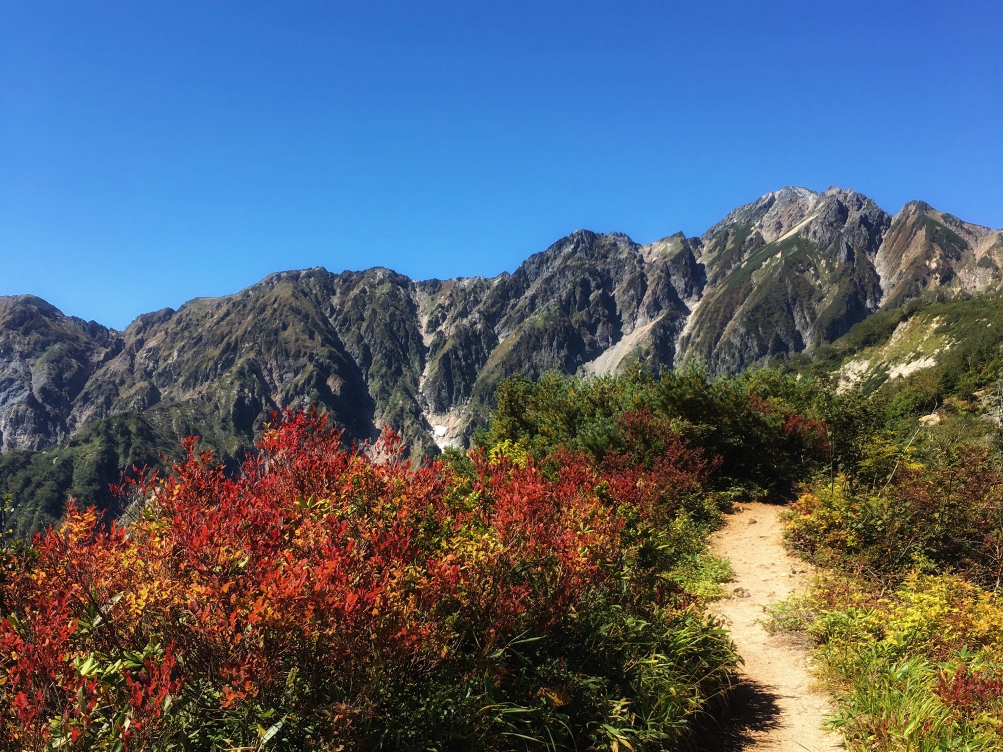 そろそろ紅葉始まってます。